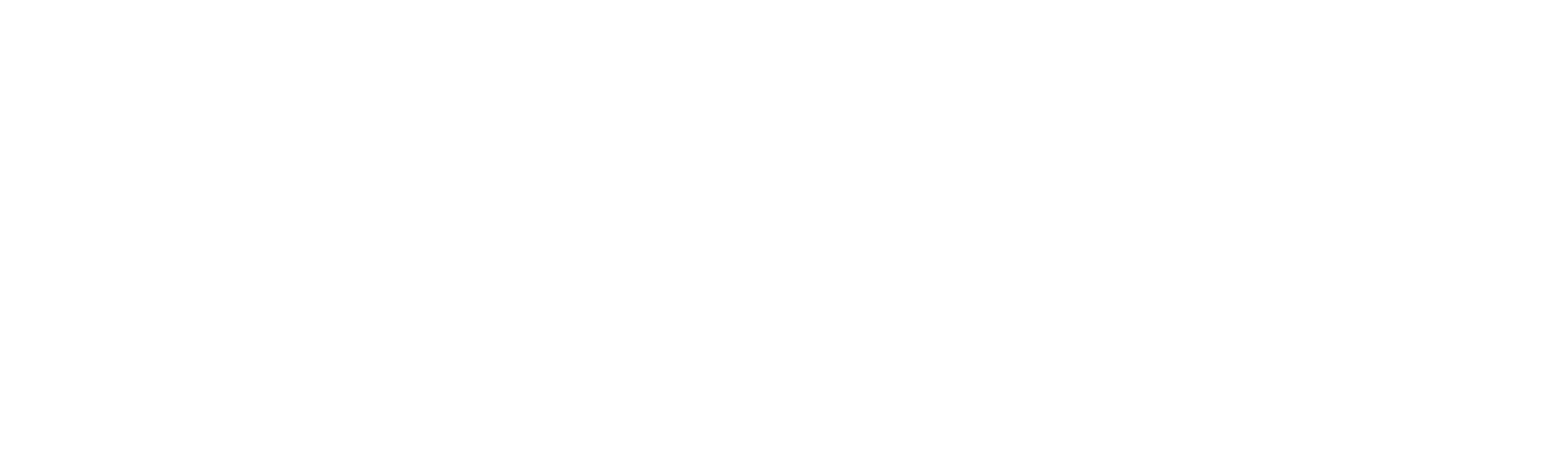 slashimagine Logo